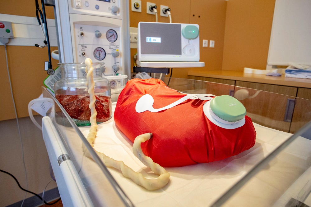 It Is Too Soon for Clinical Trials on Artificial Wombs | Scientific ...