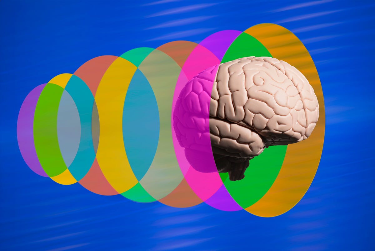 Human brain going through translucent multi-colored disks 