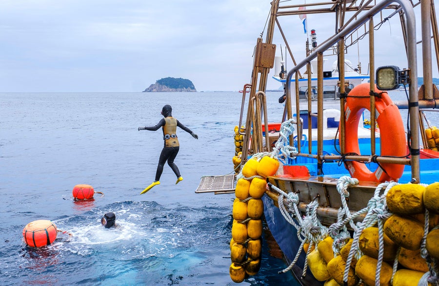 Diverge that jumps from the ship in the ocean