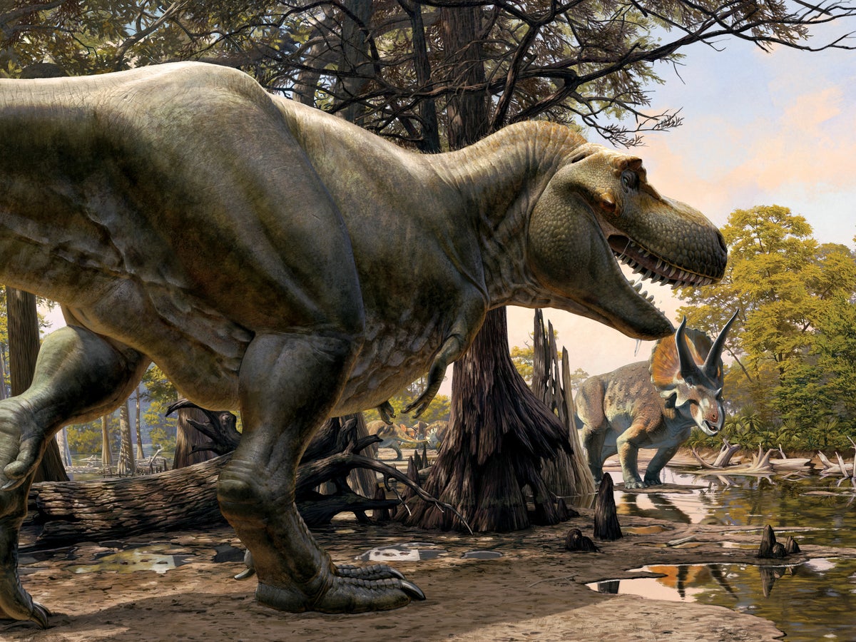 Dinosaurs
