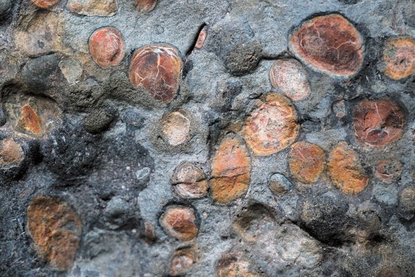 Osteoderms Bulletproof Dinosaur Armor and Weaponry Was Even More Impressive Than Researchers ...