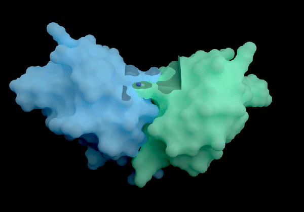 صورة GIF لفشل AlphaFold 3.