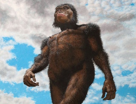 Illustration depicting the earliest known human ancestor walking on foot