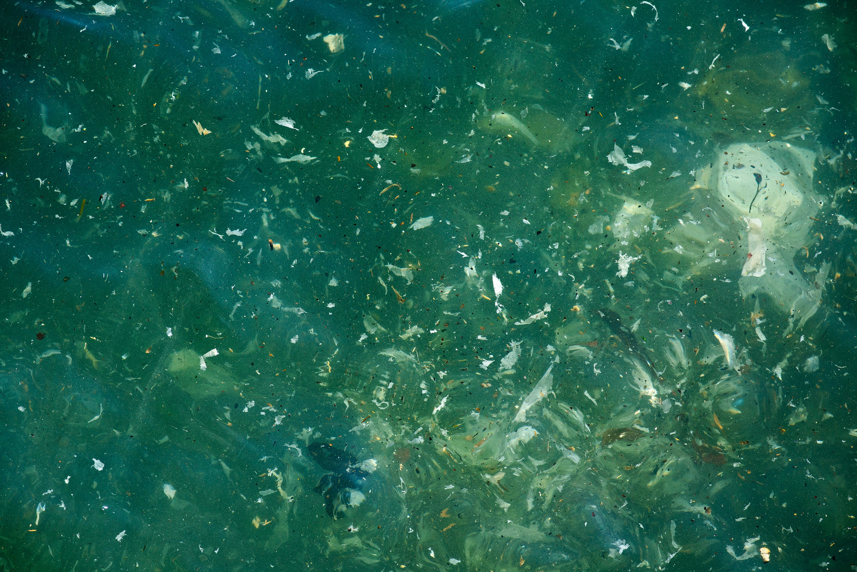 Plastic pieces floating in water at Barceloneta Beach, Barcelona, Spain