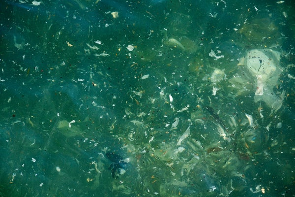Plastic pieces floating in water at Barceloneta Beach, Barcelona, Spain