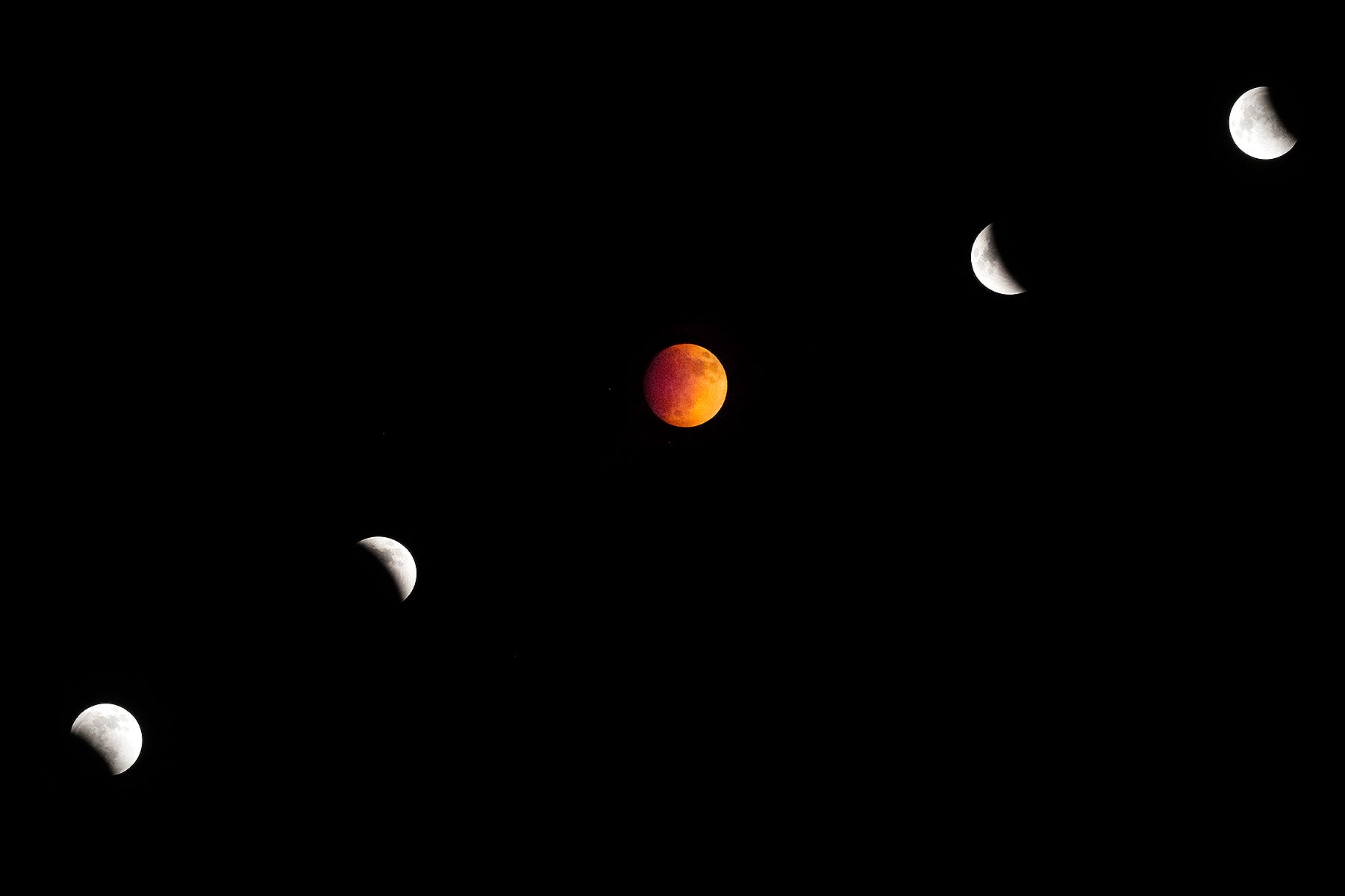 A time lapse image of a total lunar eclipse's progression.