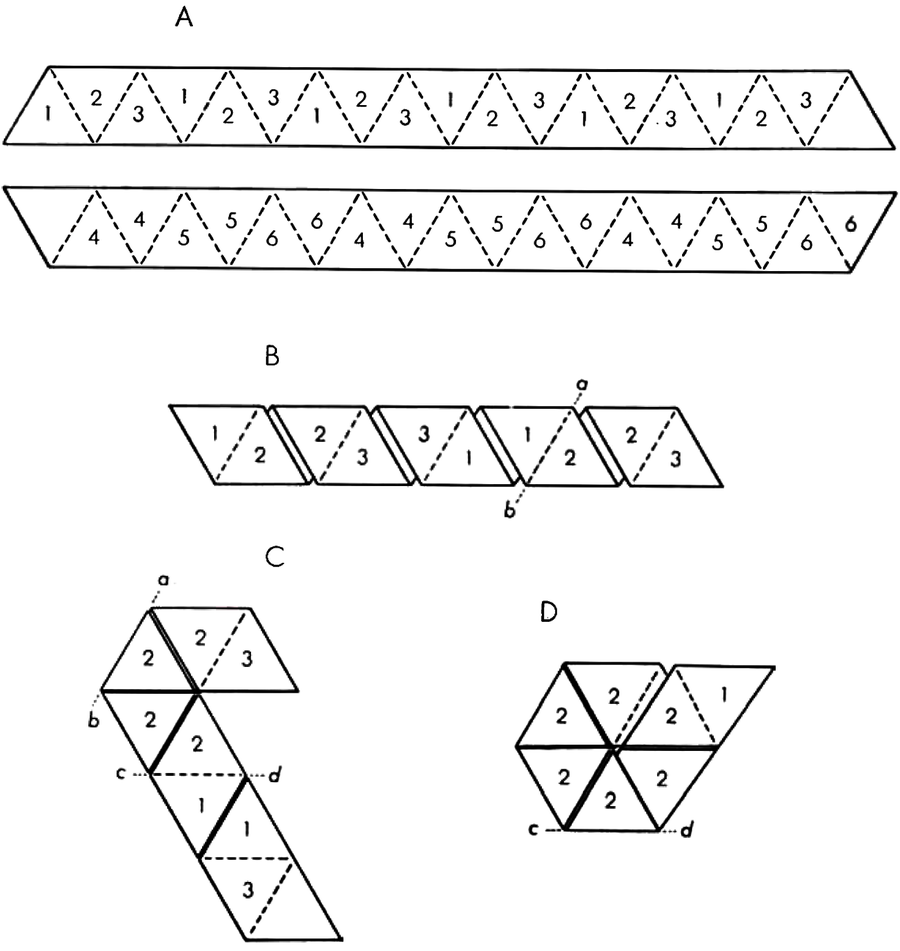 Series of four schematics show how a strip of paper marked with 19 equilateral triangles can be folded into a hexagon shape.