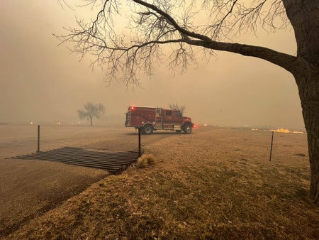 Emergency vehicle parked on grass, surrounded by smoke from wildfire. Tree in foreground