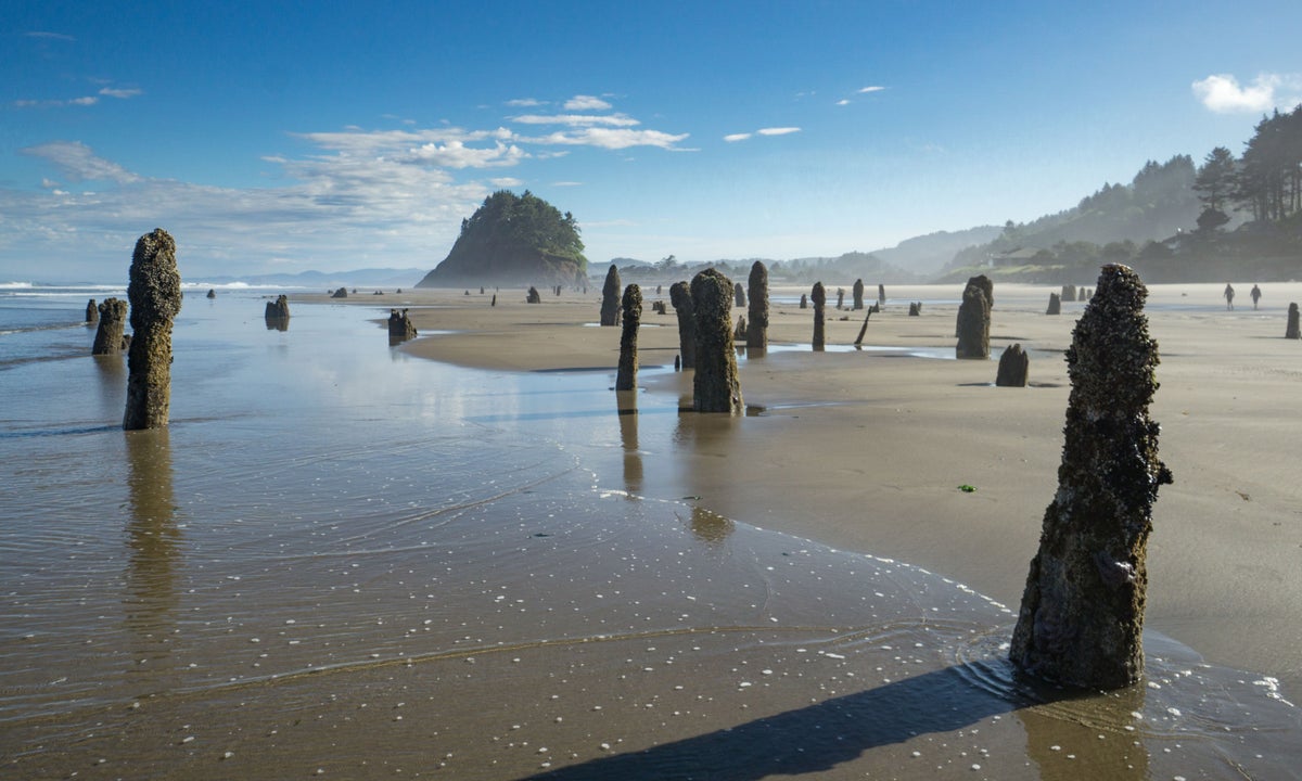 Could a Monster Earthquake Actually Sink Part of California?