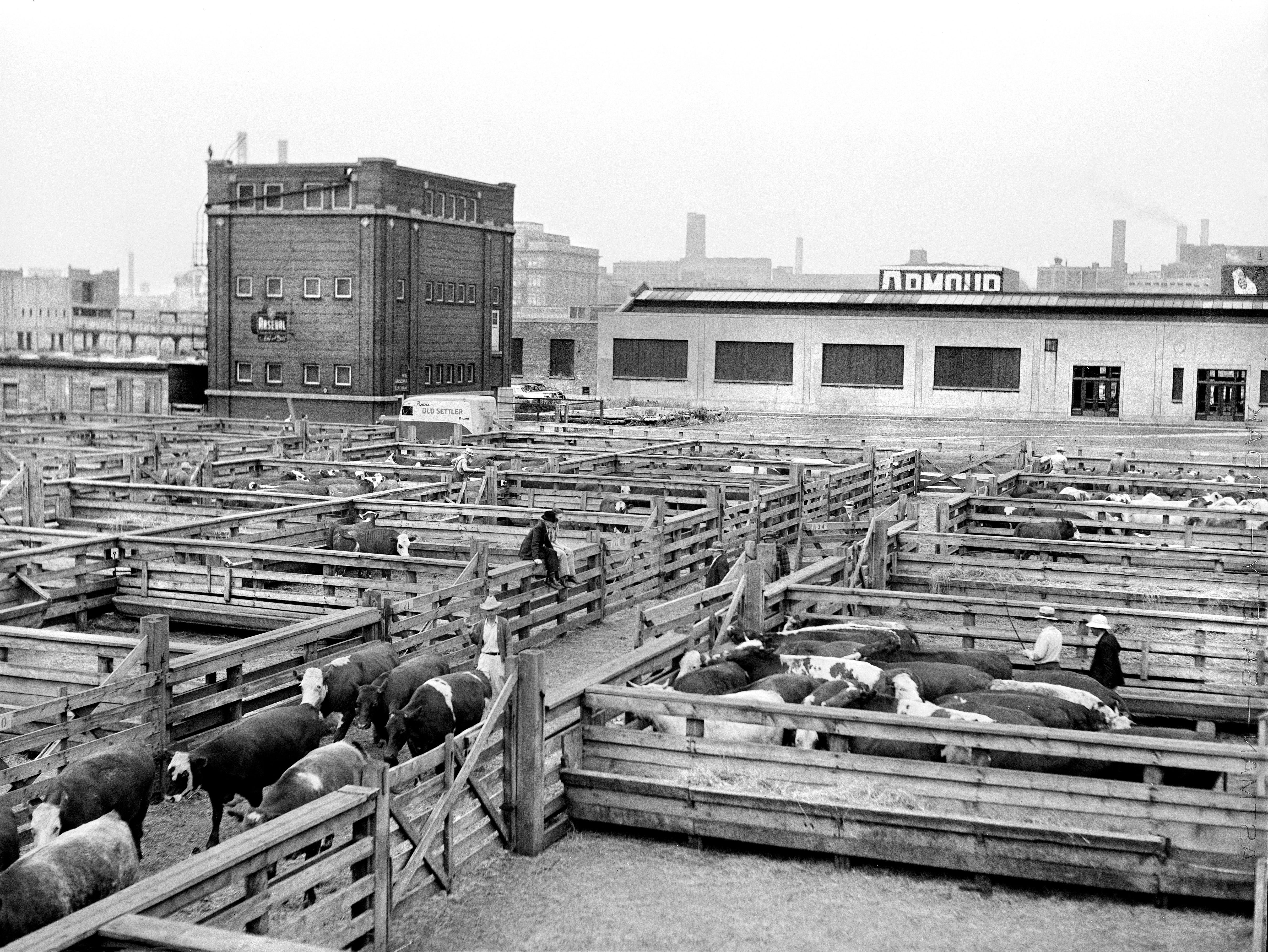 Archival black and white photo of Union Stock Yards in Chicago, Illinois,