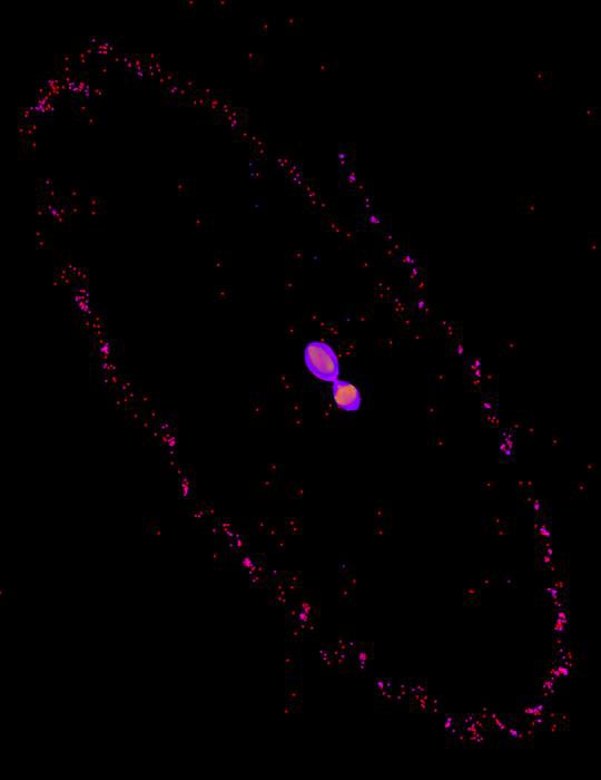 Snapshot of Pluto and Charon during kiss-and-capture represented in magenta paths