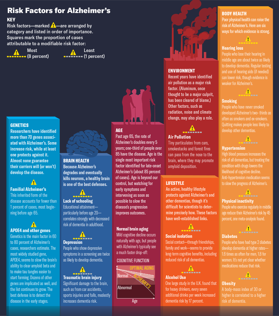 Graphic illustration showing risk factors for Alzheimer's based on genetics, brain health, age, environment, lifestyle and body health