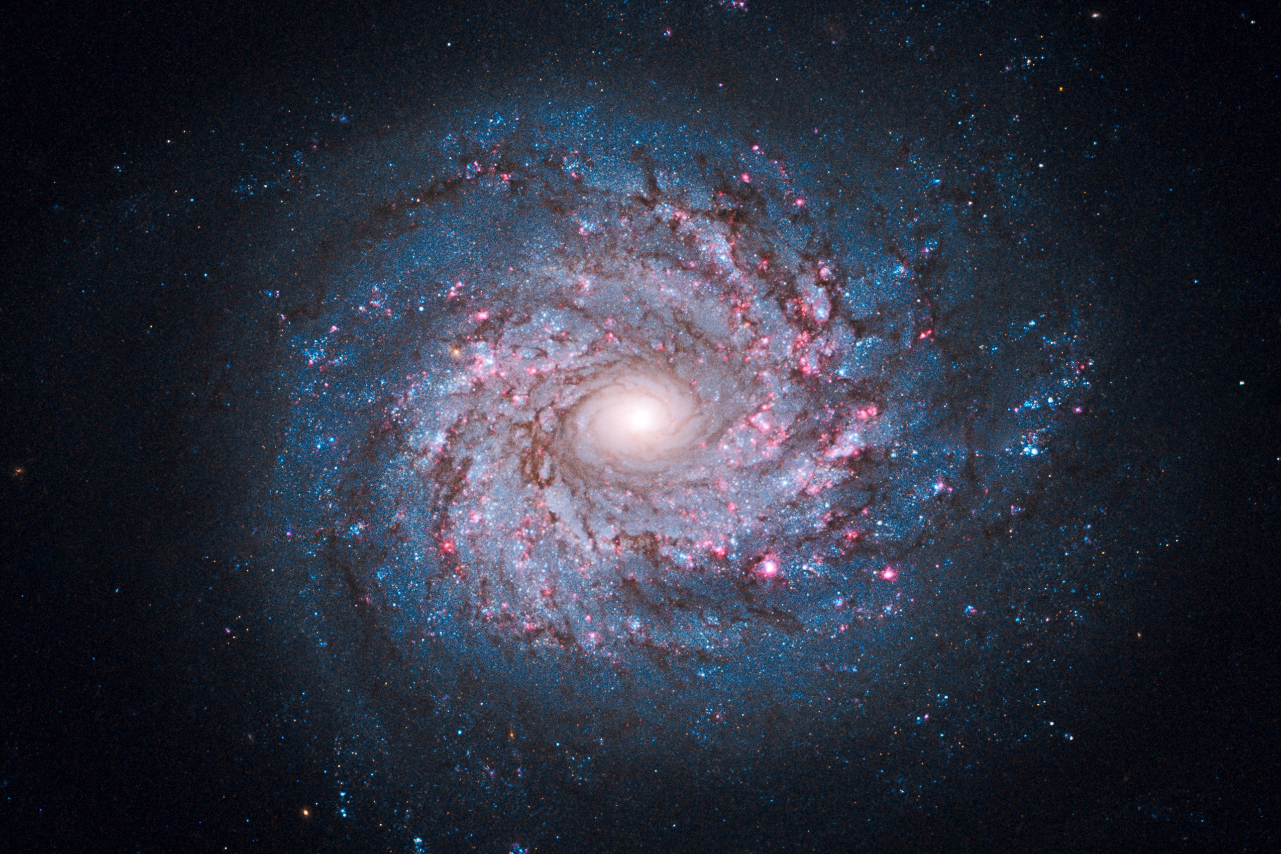 This face-on spiral galaxy, called NGC 3982, is striking for its rich tapestry of star birth, along with its winding arms. The arms are lined with pink star-forming regions of glowing hydrogen, newborn blue star clusters, and obscuring dust lanes that provide the raw material for future generations of stars. The bright nucleus is home to an older population of stars, which grow ever more densely packed toward the center