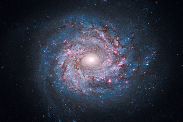 This face-on spiral galaxy, called NGC 3982, is striking for its rich tapestry of star birth, along with its winding arms. The arms are lined with pink star-forming regions of glowing hydrogen, newborn blue star clusters, and obscuring dust lanes that provide the raw material for future generations of stars. The bright nucleus is home to an older population of stars, which grow ever more densely packed toward the center