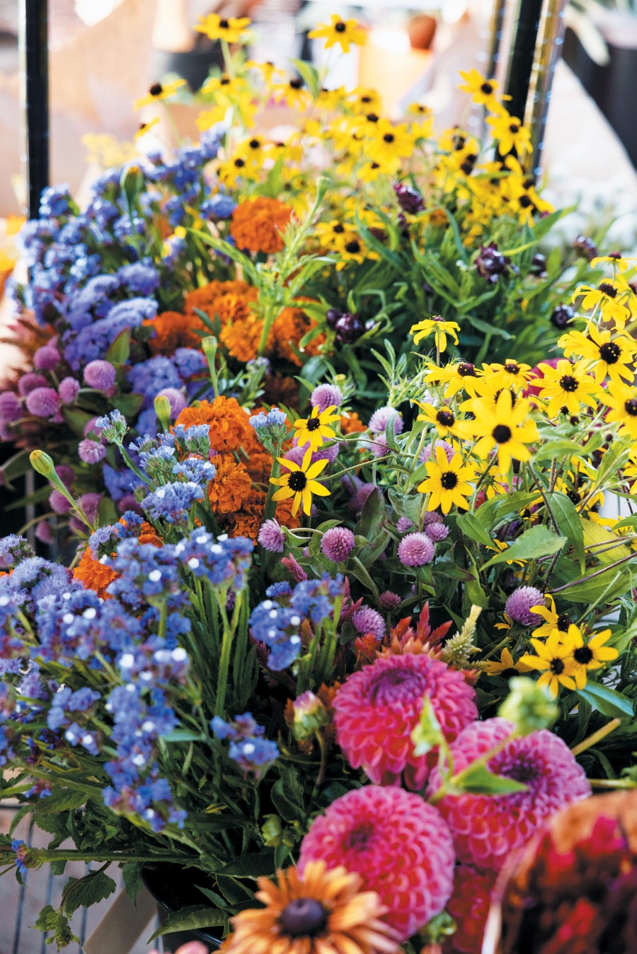 Assortment of colorful flowers