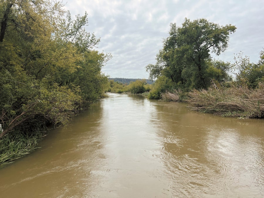 Muddy swollen river in landscape