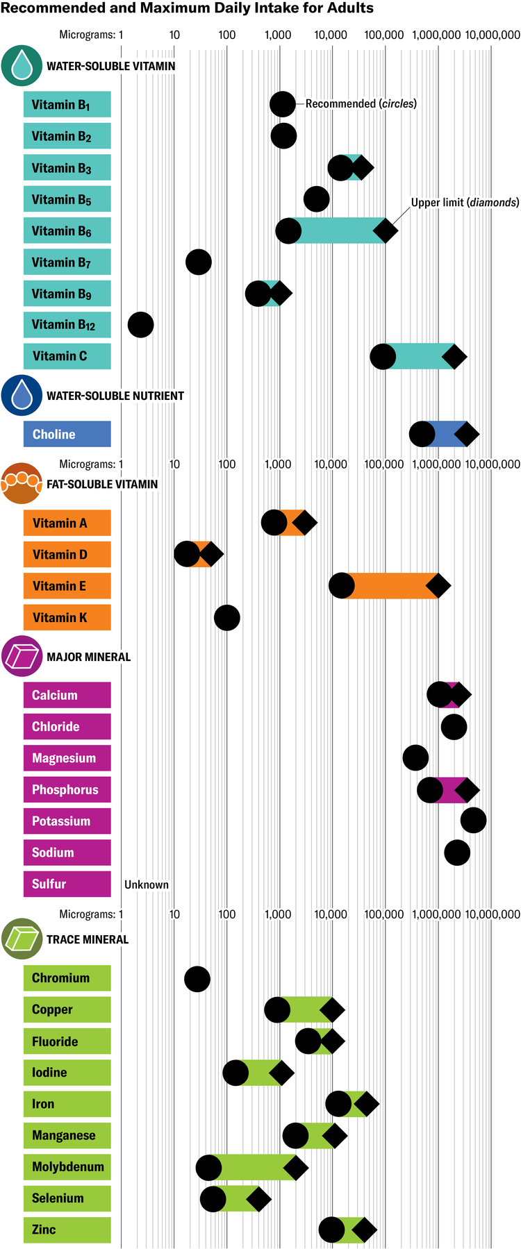 What Vitamins and Minerals Really Do in Your Body | Scientific American