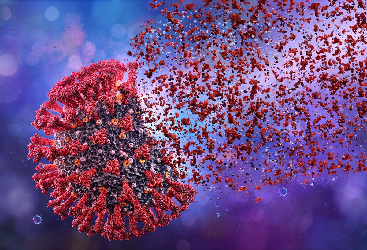 An illustration of a round virus covered in red spikes dissolving away.