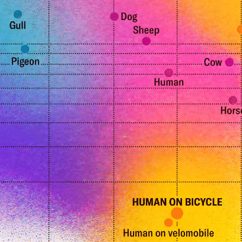 29,415 vectores de stock y arte vectorial de Ciclo de vida de los animales  | Shutterstock, image size:1000x1000