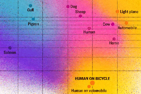 Detail of a chart shows data points labelled human on a bicycle, human on a velomobile, human, horse, automobile, pigeon, dog, salmon and others.