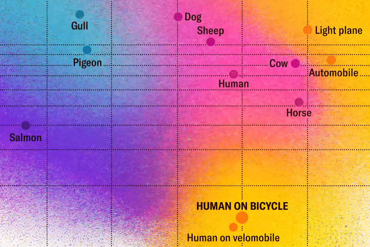 Detail of a chart shows data points labelled human on a bicycle, human on a velomobile, human, horse, automobile, pigeon, dog, salmon and others.