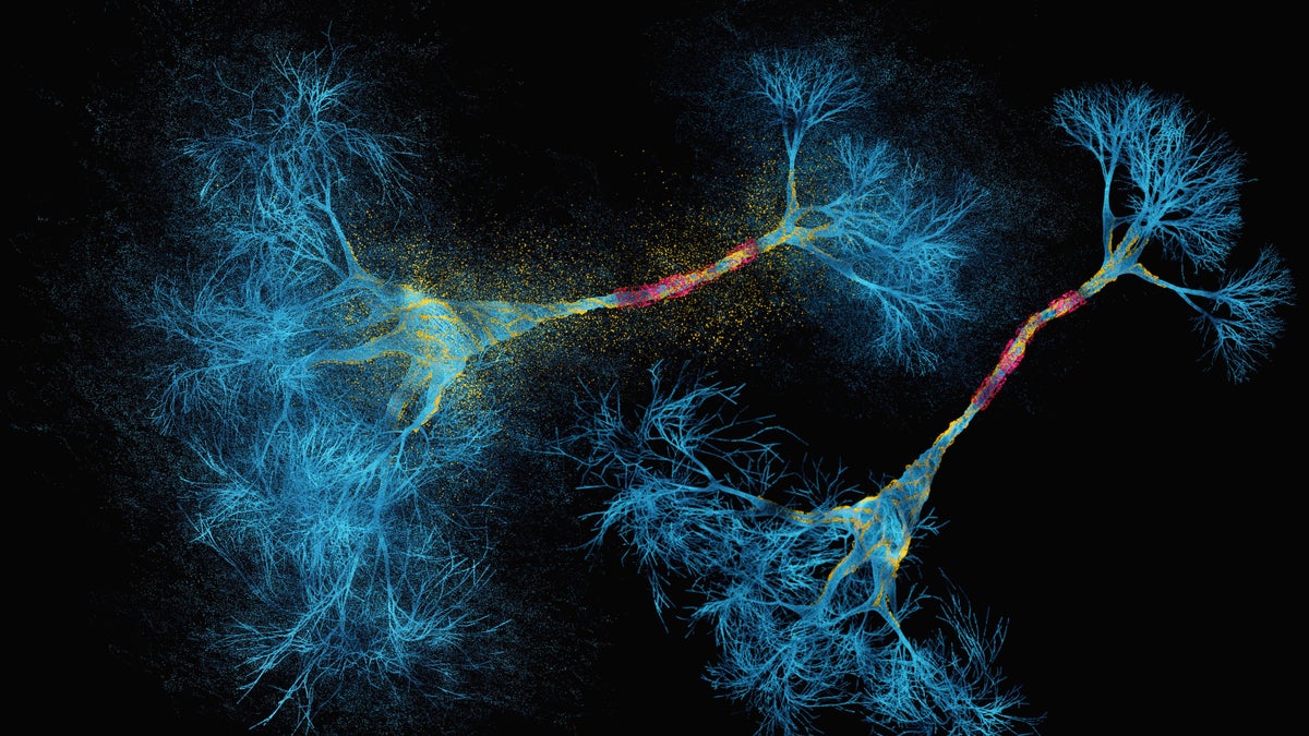 Colorful 3D render of a network of neurons.