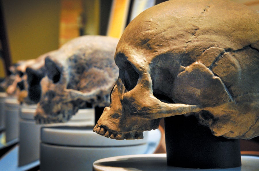 To Follow the Real Early Human Diet, Eat Everything