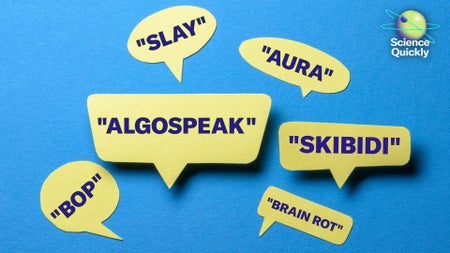 A series of yellow speech bubbles with the words