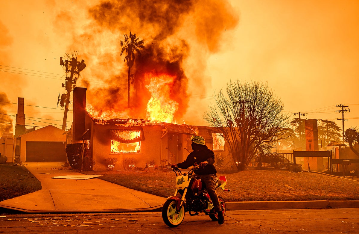 Los Angeles Fires Force Us to Confront Our Dystopian Present thumbnail