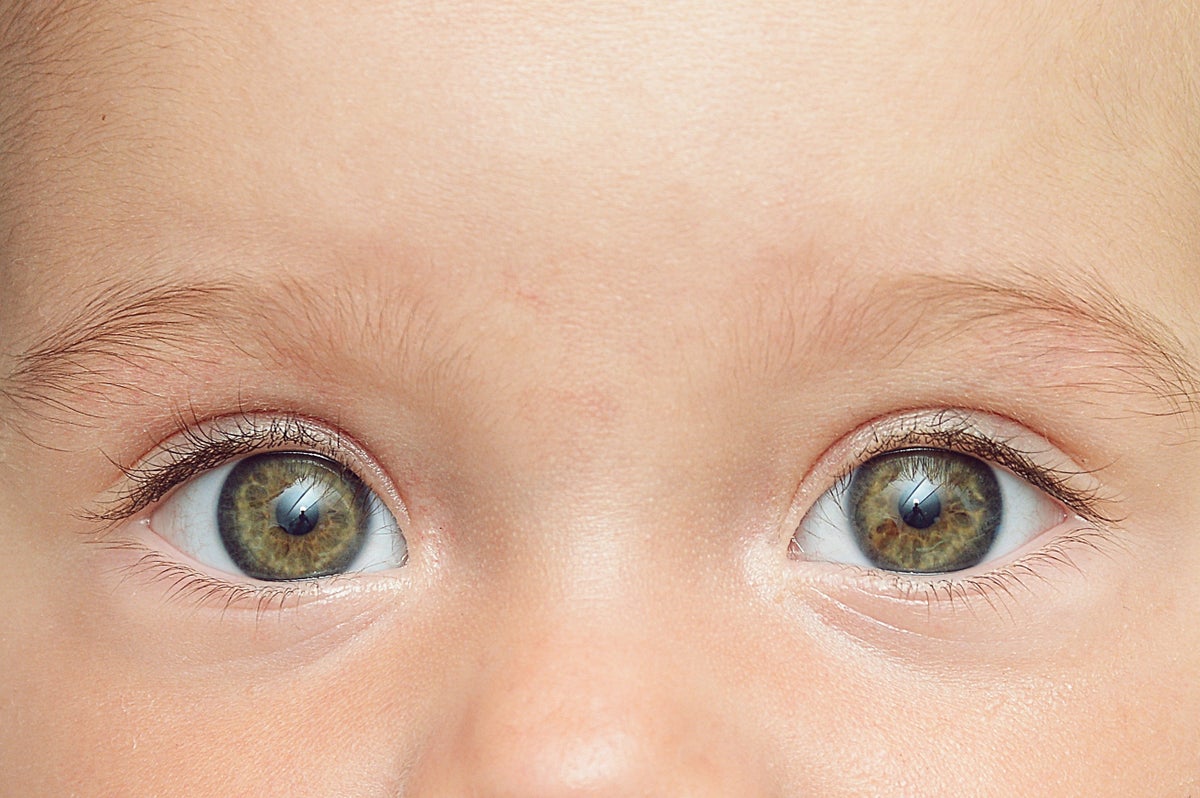 When Do Babies Become Conscious?