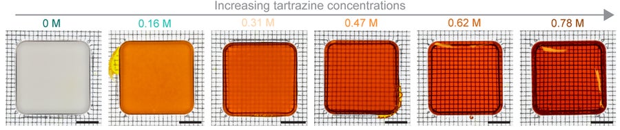 [Image: time-lapse_scattering_phantoms_tartrazine.jpg?w=900]