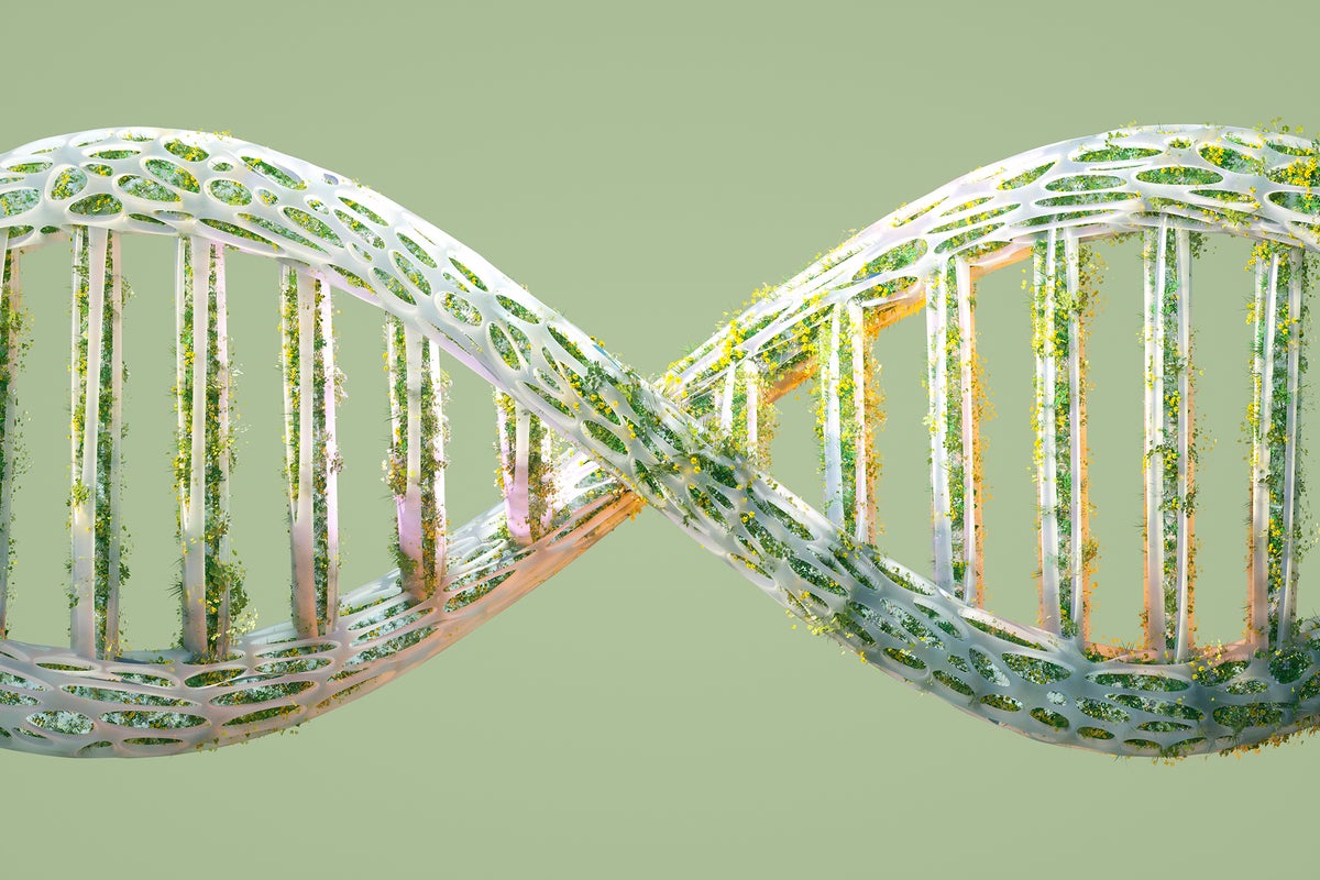 Futuristic organic shaped DNA structure