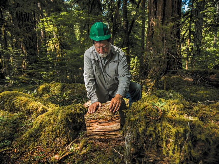 a man kneeling and looking at a log