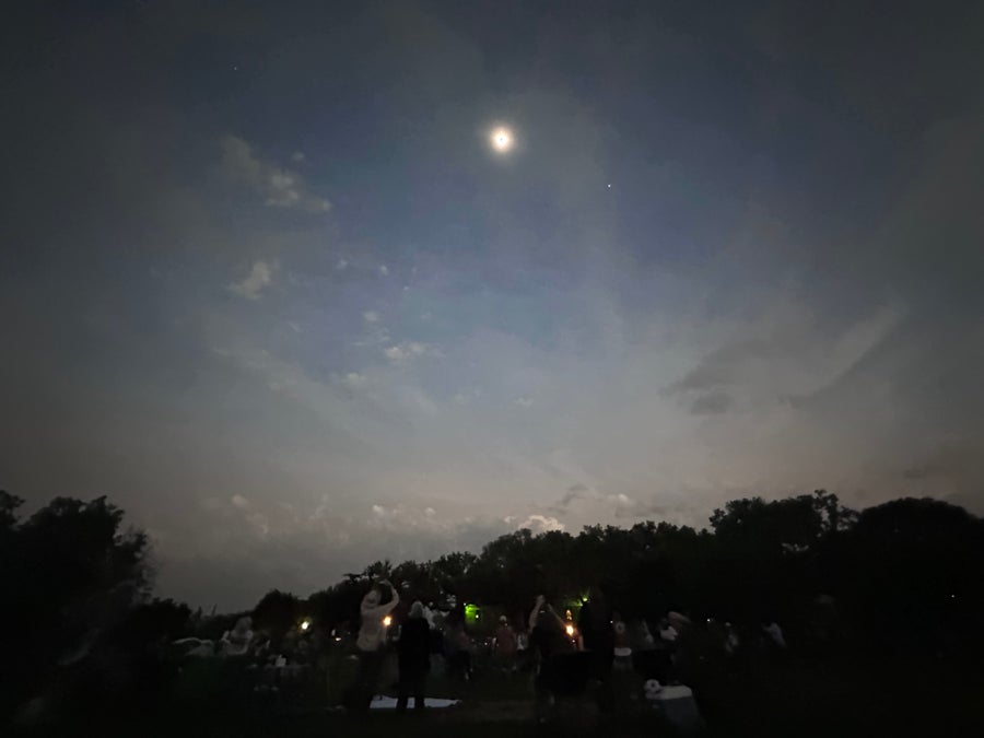 Backv iew of a group of people on lawn reaching up with cameras to photograph the eclipse.