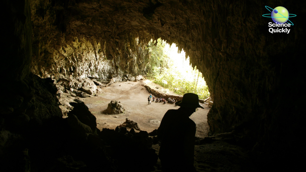 An image of an archaeologist surveying the cave at Liang Bua where the 'hobbit' remains were discovered.