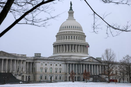 A large domed building under a snowy sky.