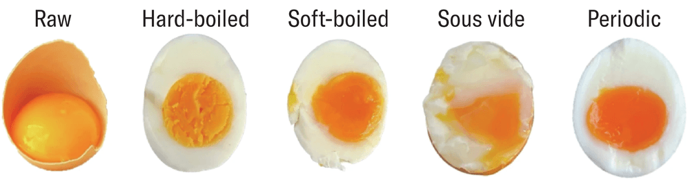 La foto etiquetada muestra una fila de huevos en cinco estados diferentes: crudo, duro, duro, suave, sous vide y periódico.