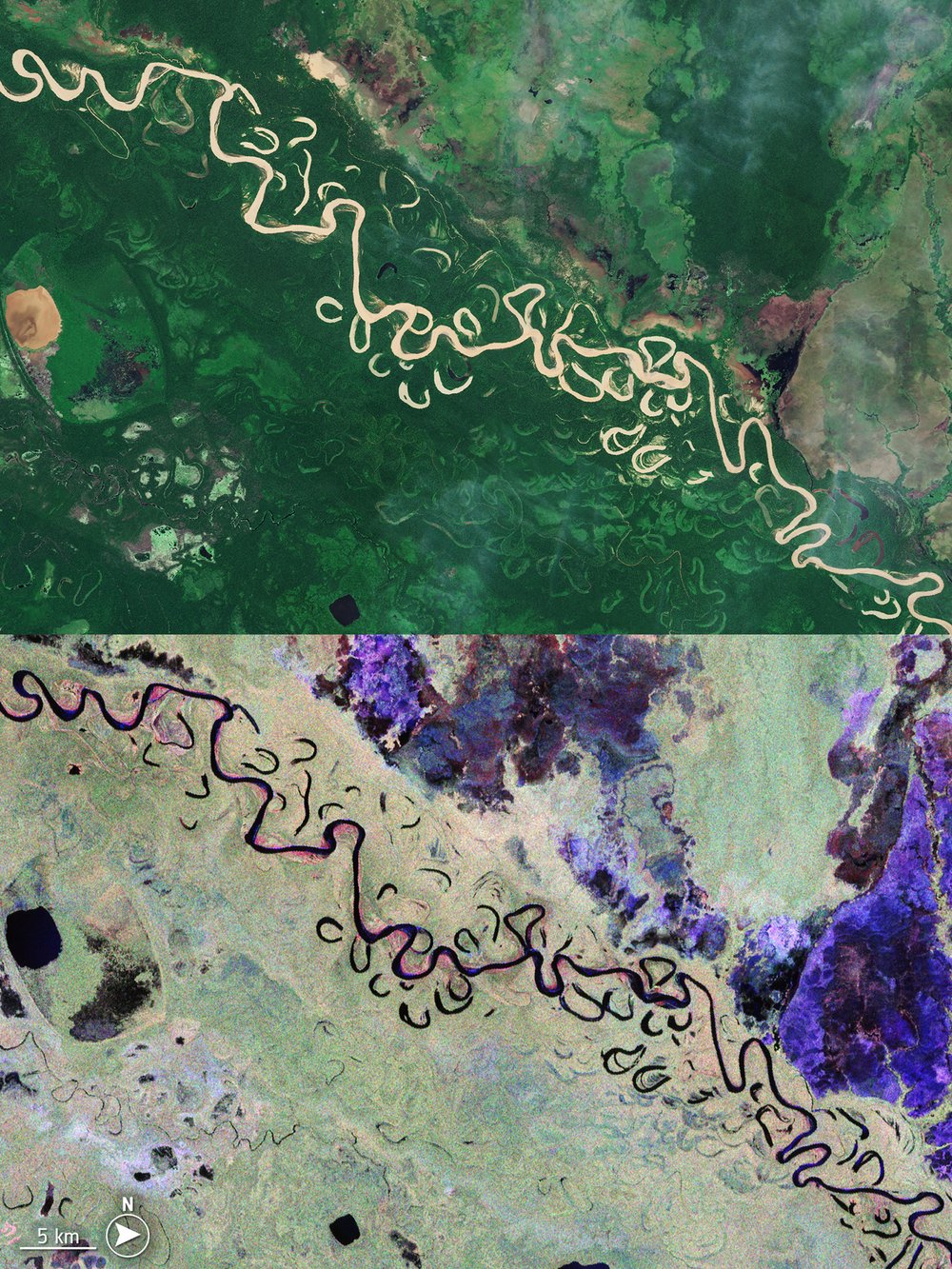 La imagen anterior de la selva tropical boliviana está en la parte inferior, yuxtapuesta con una nueva imagen encima. La imagen superior es un verde más profundo, sin tanta variación de color como a continuación.