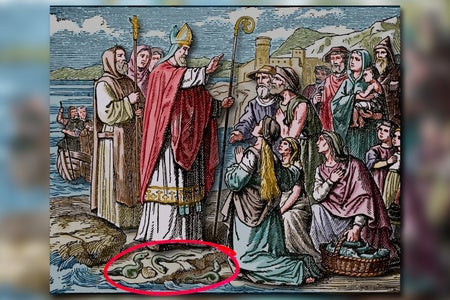 Engraving of Patrick blessing the Irish and banishes snakes.