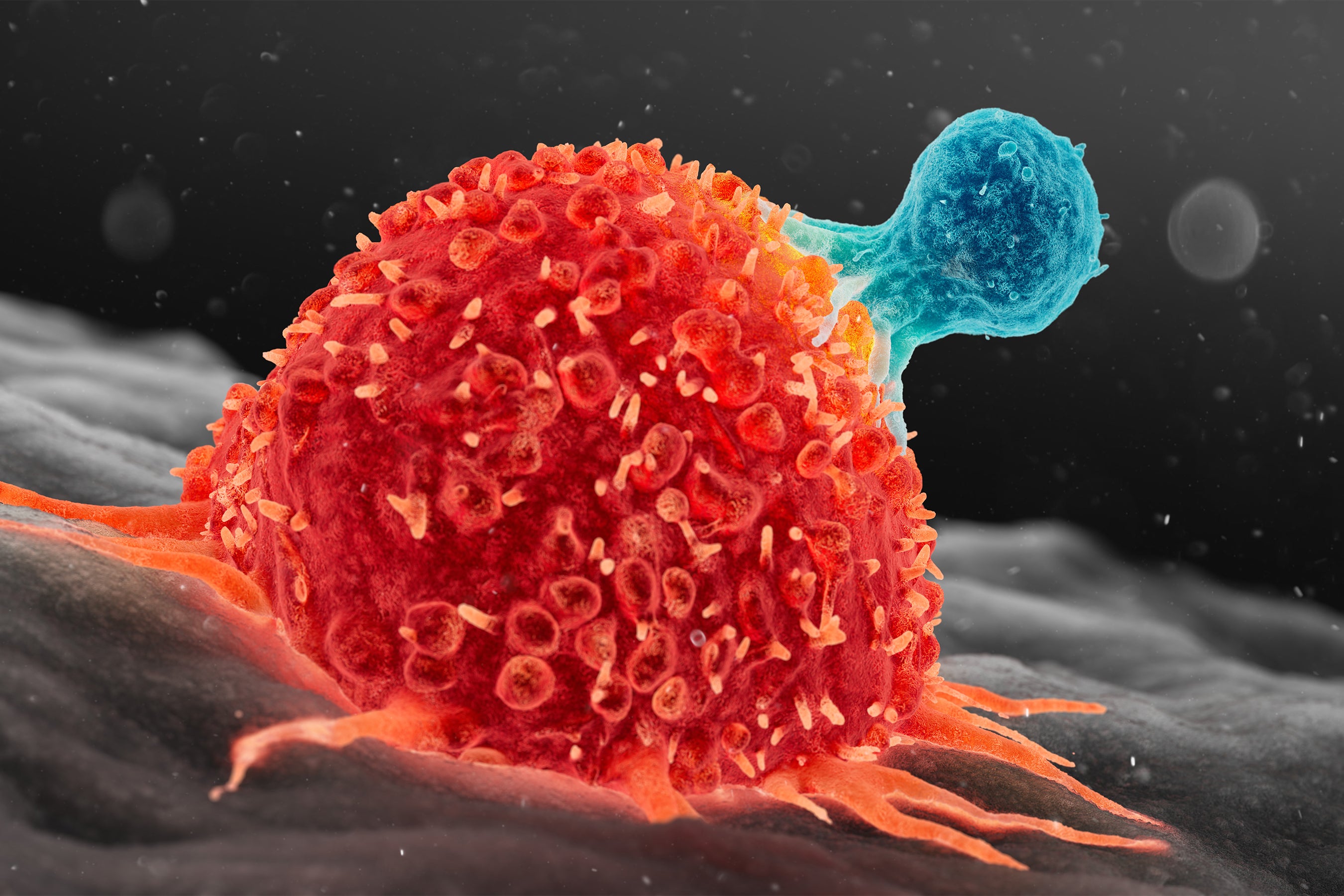 Scientists Found a Way to Supercharge Cancer-Fighting Cells | Scientific  American, image size:2700x1800