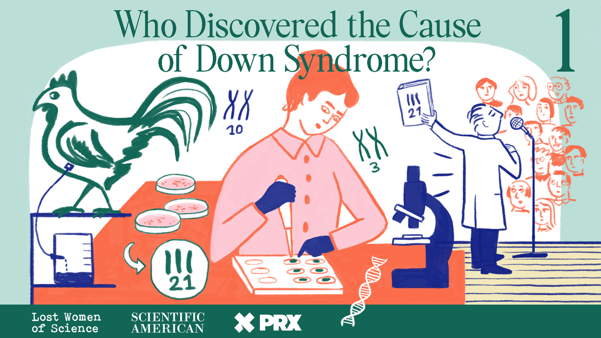 Who Discovered the Cause of Down Syndrome?