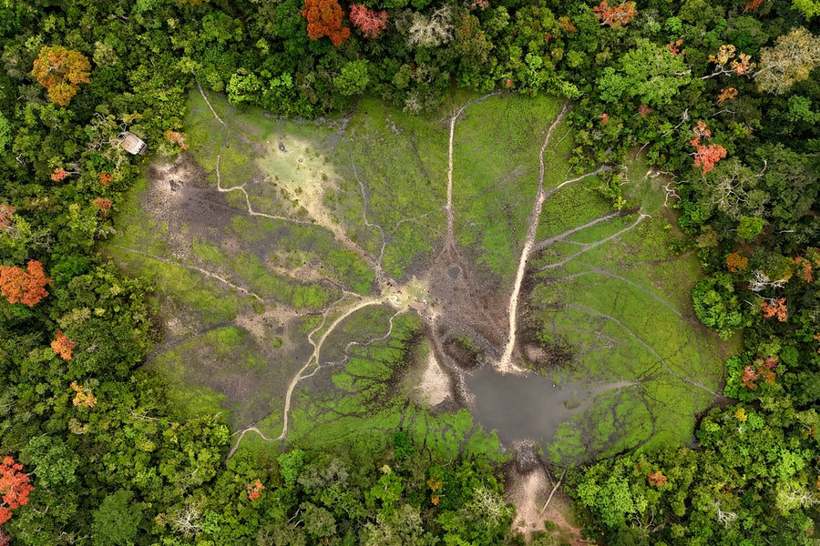 An aerial view of a clearing in the rainforest.