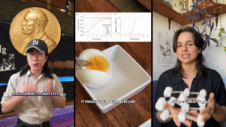 Scientific American Logo