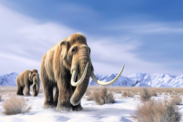 The First Ever Fossilized Chromosomes Came from a Freeze-Dried Mammoth