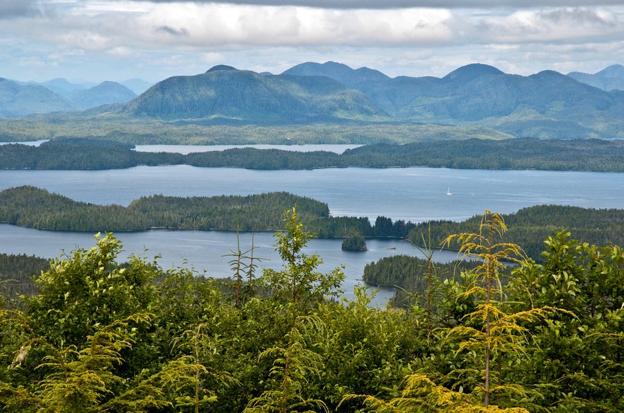 View of Great Bear Rainforest photographed from a mountain above Bella Bella, in Heiltsuk territory, British Columbia, Canada, looking over the water towards the mainland