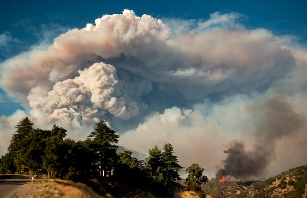 Pyrocumulus clouds over a landscape with trees.