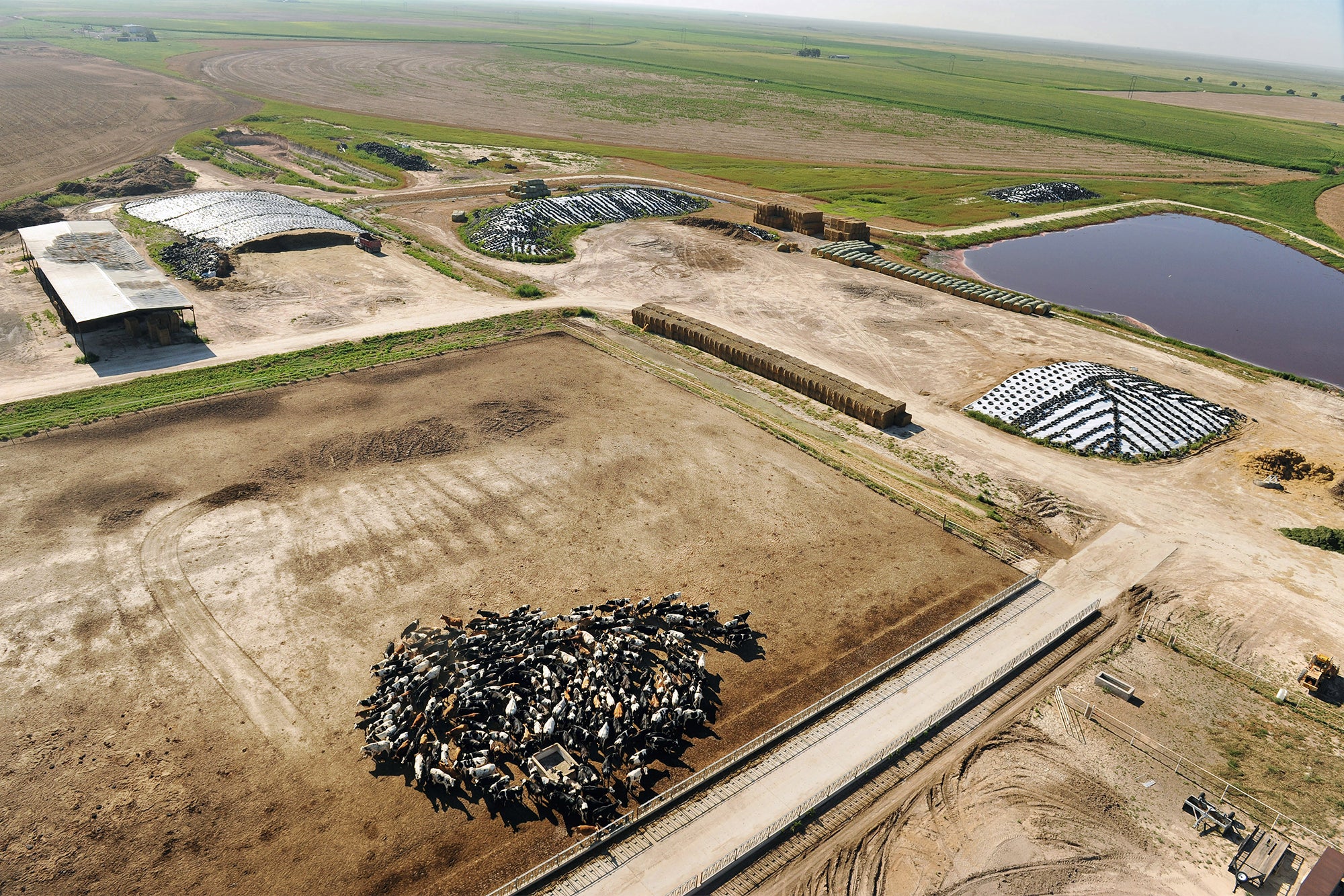 Expansive aerial view of a large organic farm in Texas with cattle huddled into a smaller area towards the bottom of the frame