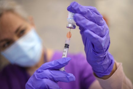 A nurse wearing purple gloves draws a vaccine dose using a syringe.