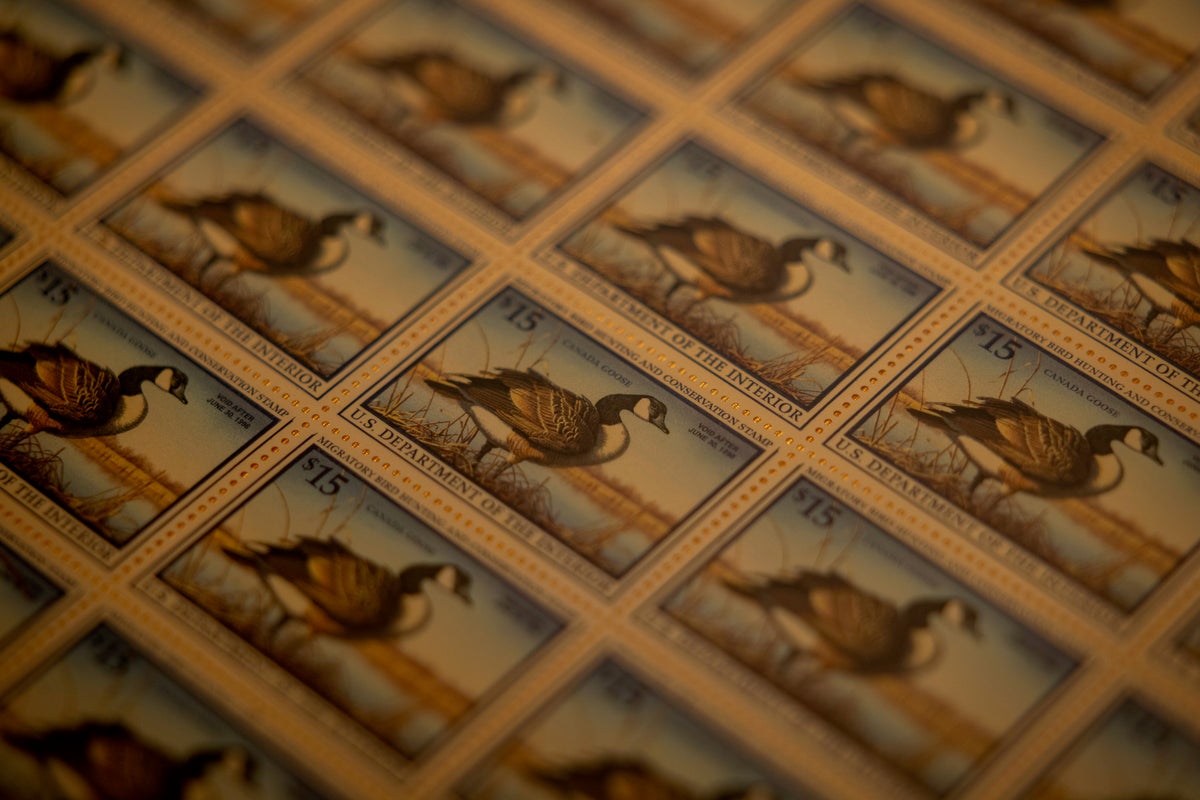 Sheet of Canada Goose stamps.