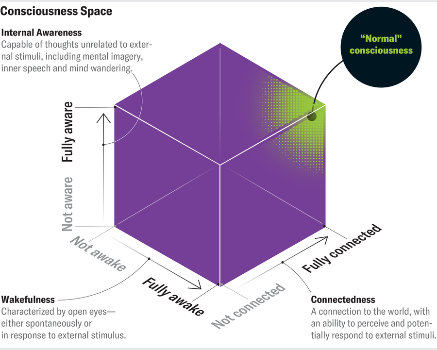 Chart of consciousness space plots three variables on a cube: internal awareness, wakefulness and connectedness.